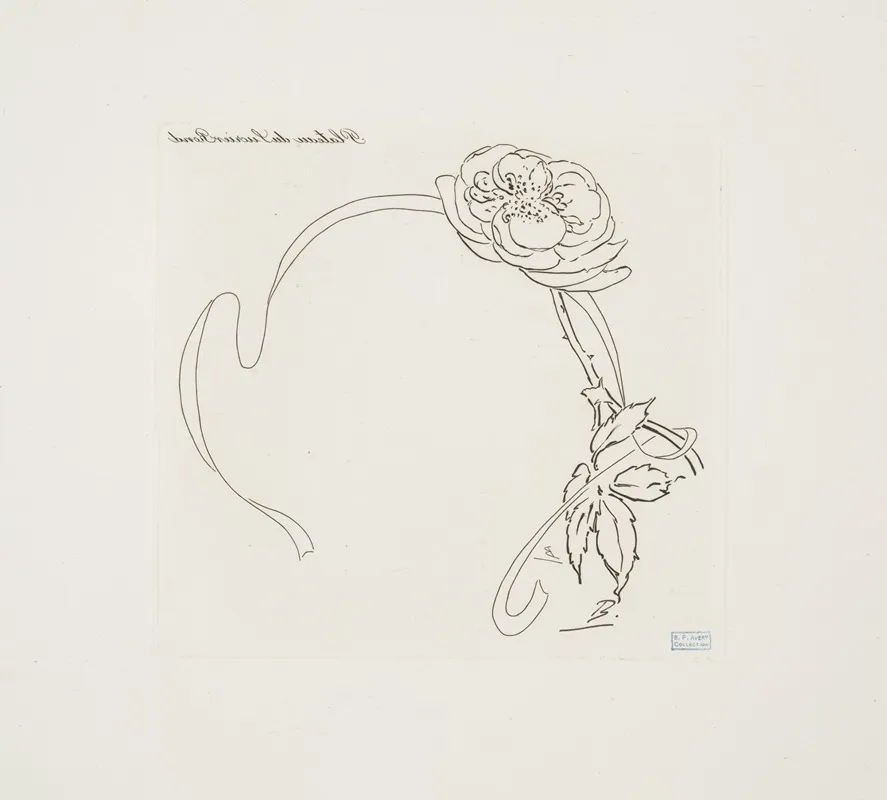 Plateau Du Sucrier Rond by Félix Bracquemond - Canvas Print