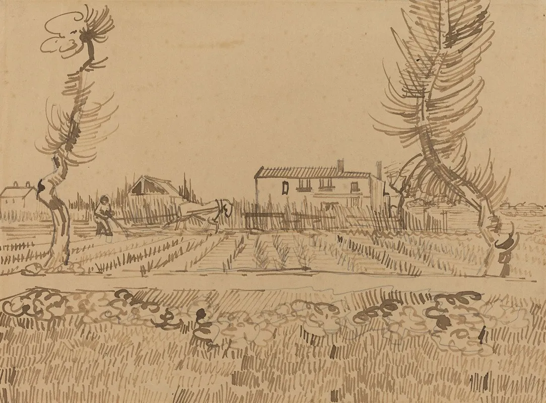 Ploughman In The Fields Near Arles