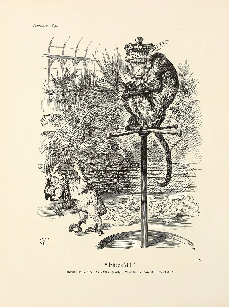Pluckd by Sir John Tenniel - Canvas Print