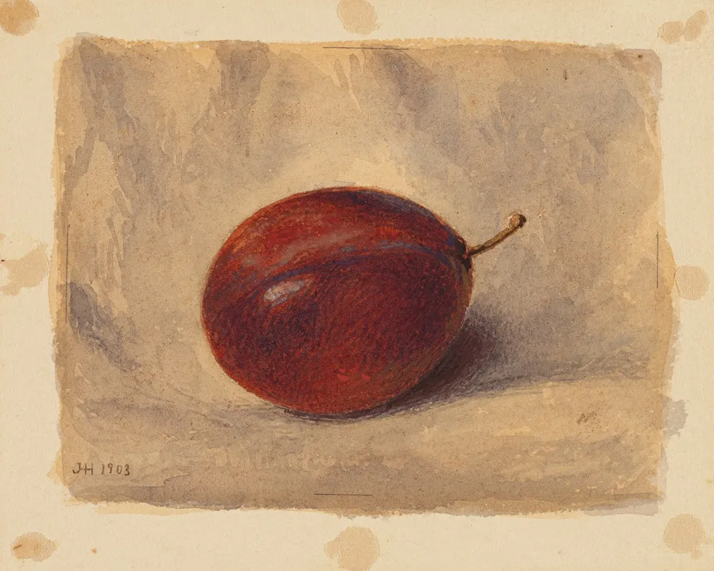 Plum by John Henry Hill - Canvas Print