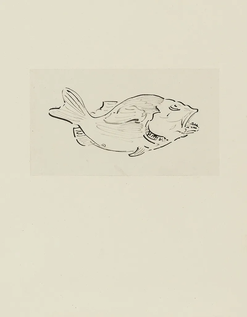Poisson Dessin Non Utilise by Achille Granchi-Taylor - Canvas Print