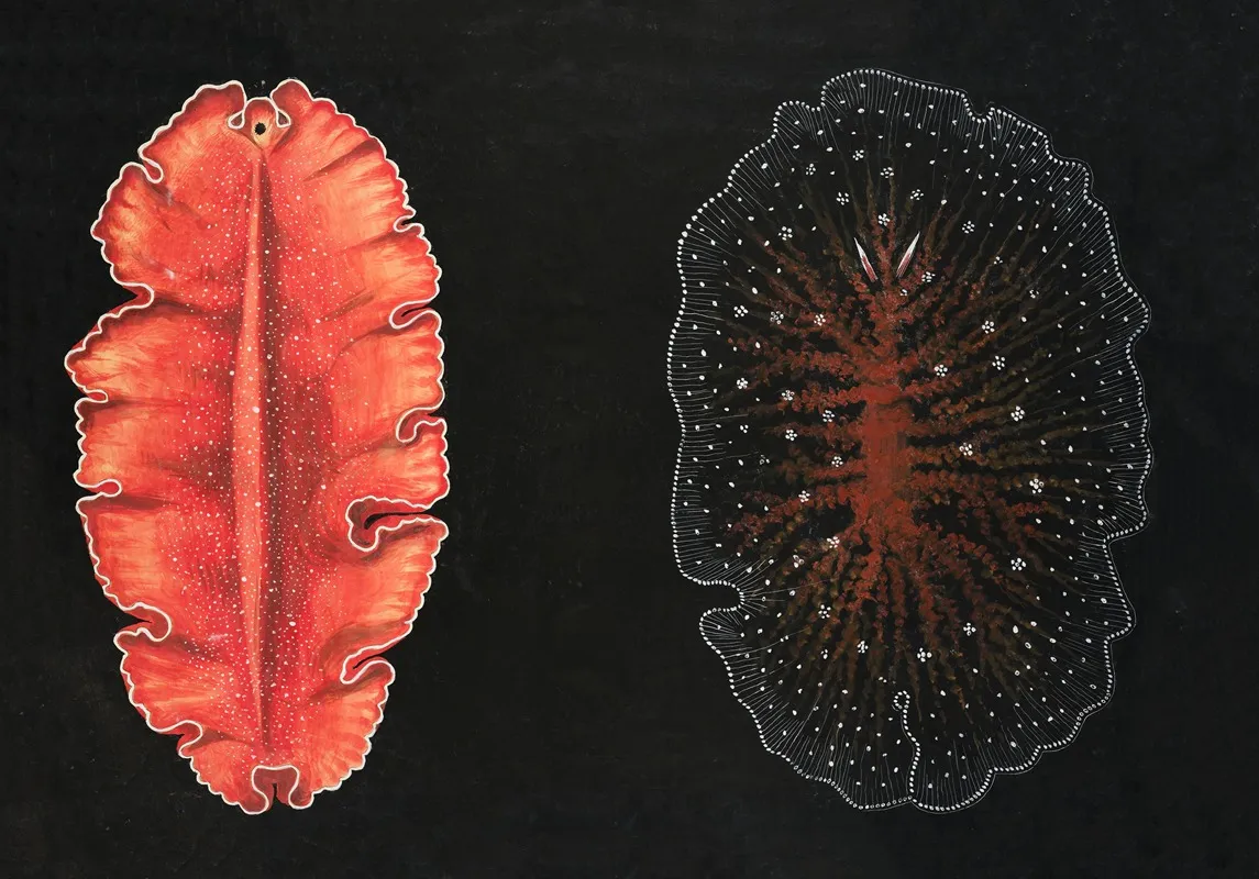 Polyclads