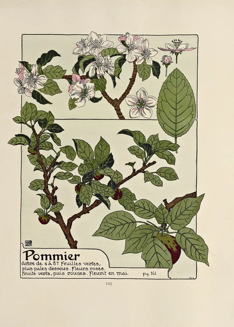 Pommier by Maurice Pillard Verneuil - Canvas Print