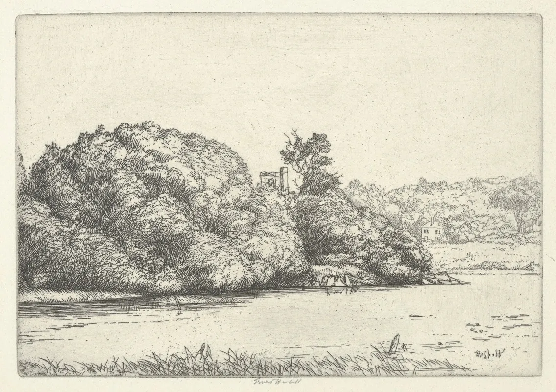 Pond And Willows