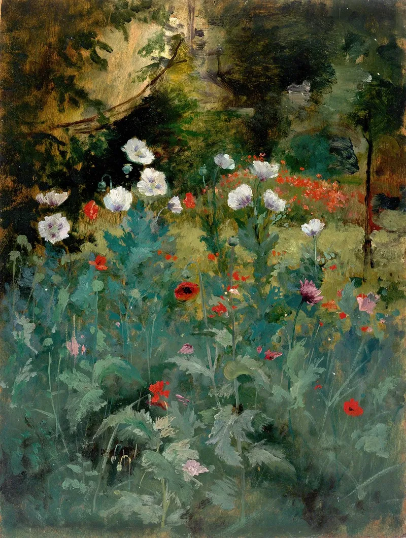 Poppies 6