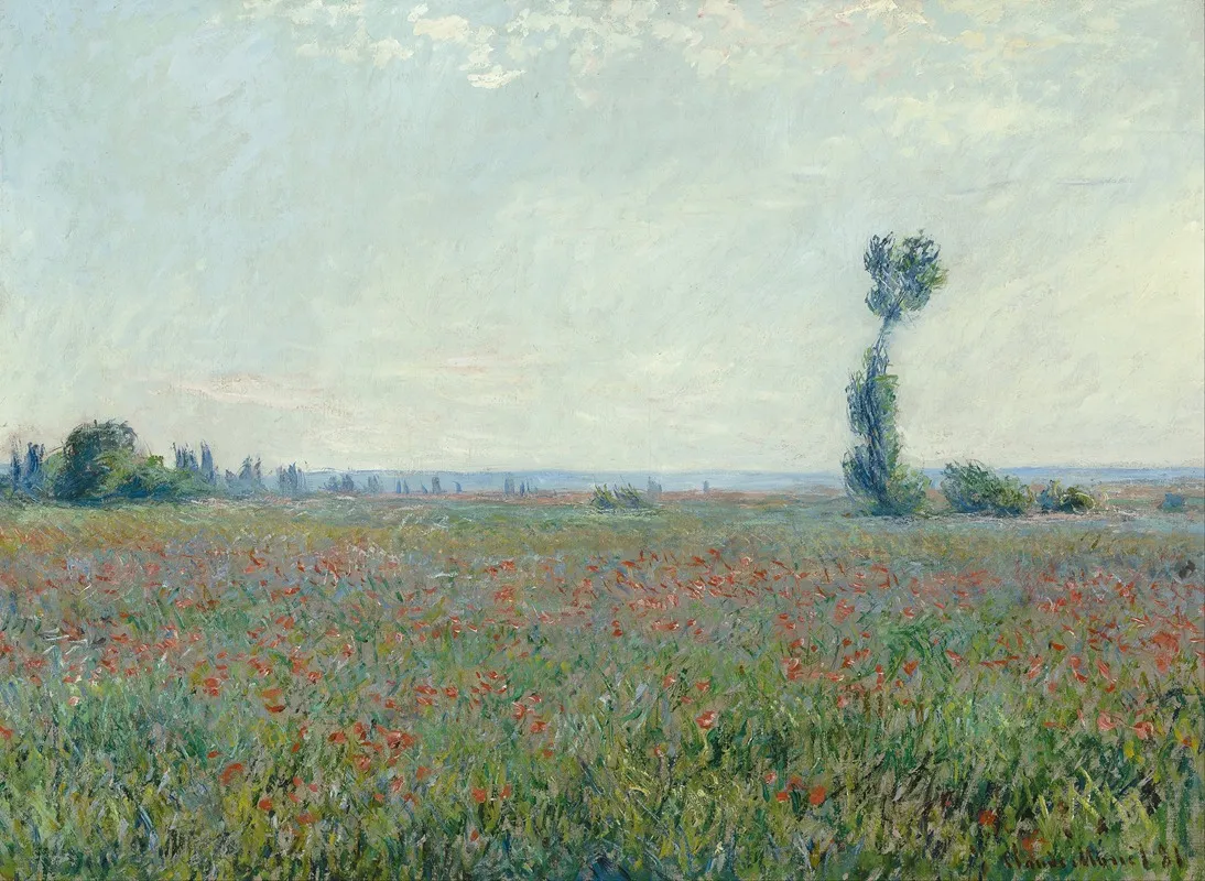 Poppy Field 2 by Claude Monet - Canvas Print