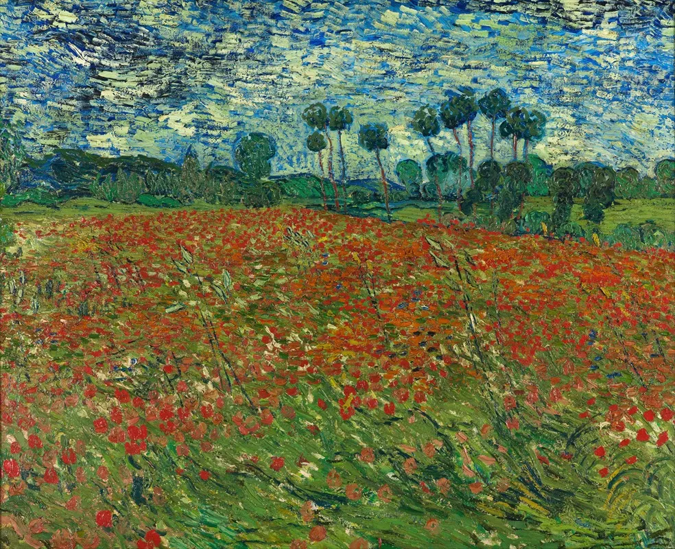 Poppy Field 3
