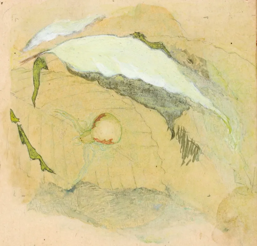 Porcelain White Spider 2