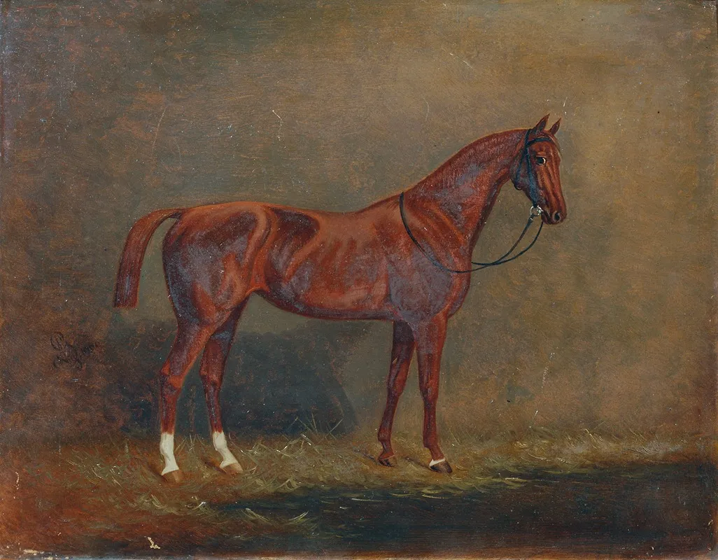 Portrat Eines Reitpferdes