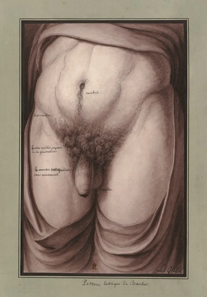 Posture Lubrique De Bacchus