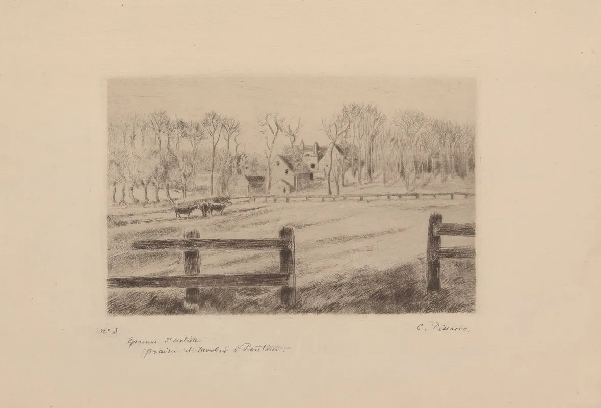 Prairie Et Moulin A Osny