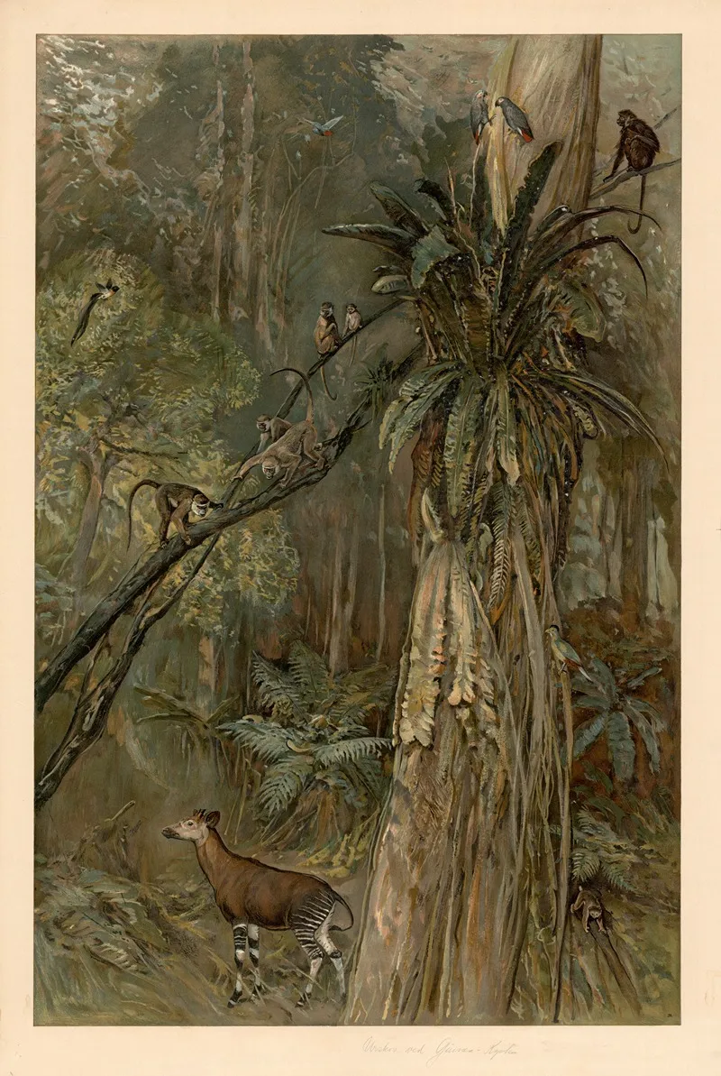Primeval Forest On The Guinea Coast