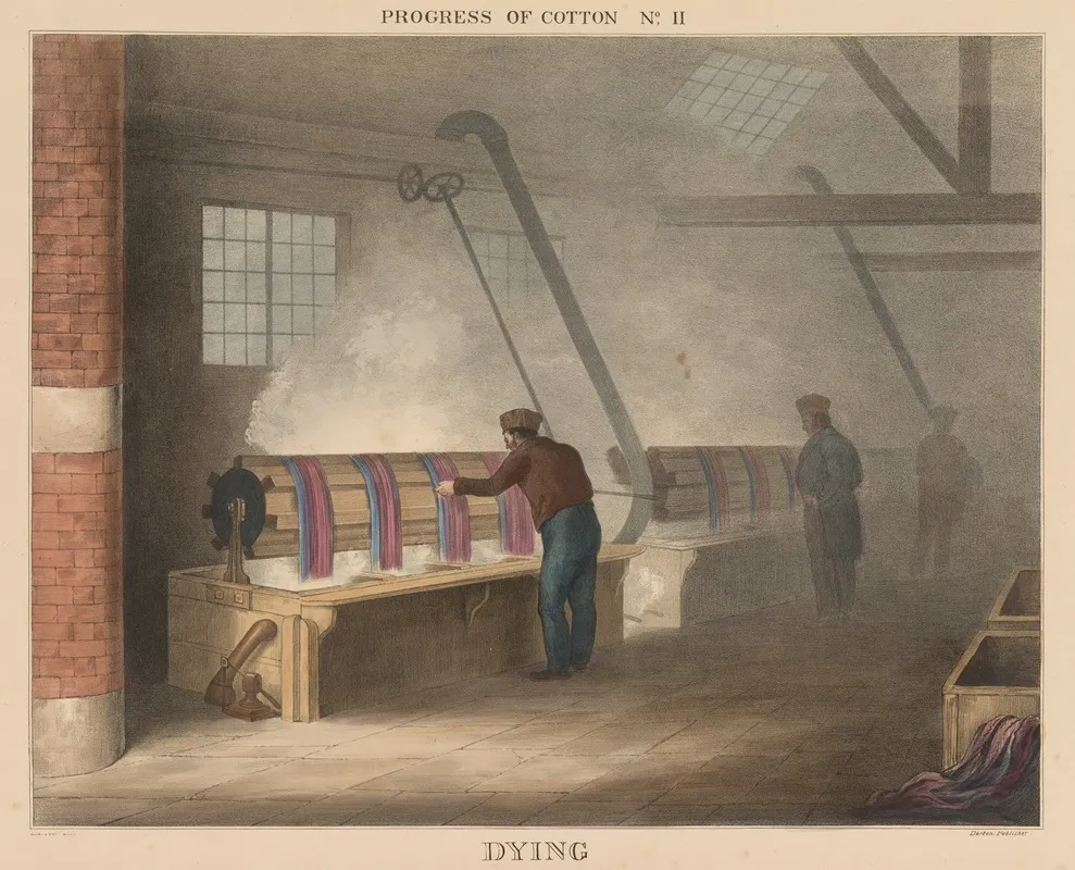 Progress Of Cotton 11 Dying by James Richard Barfoot - Canvas Print