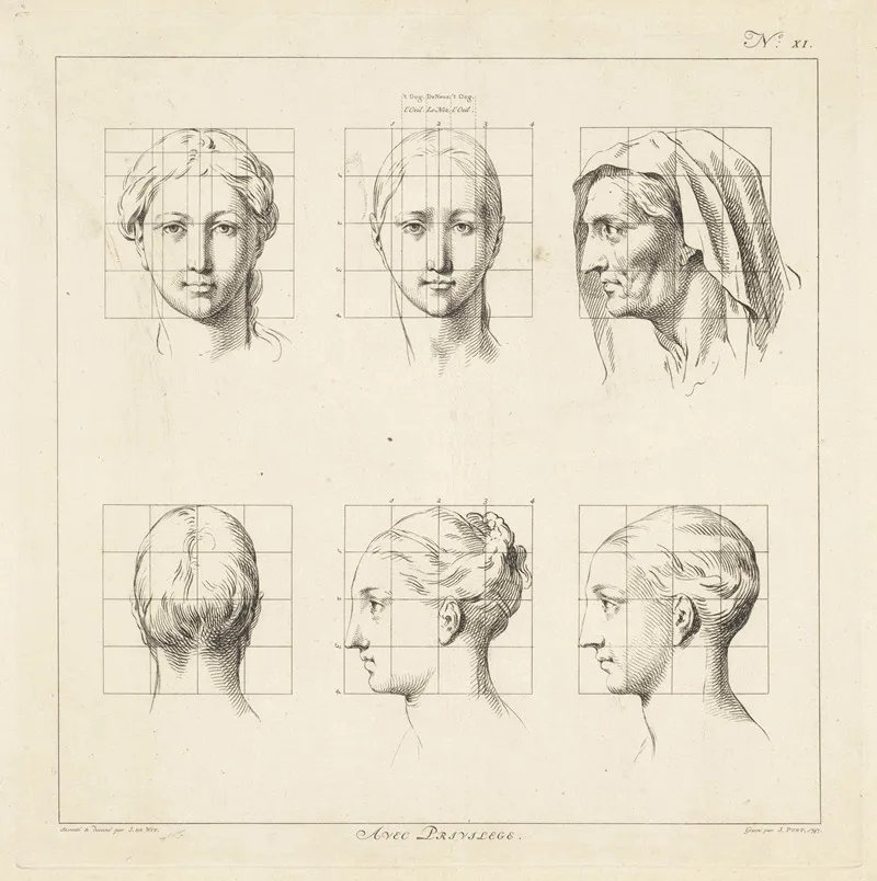 Proportional Studies Of Womens Heads