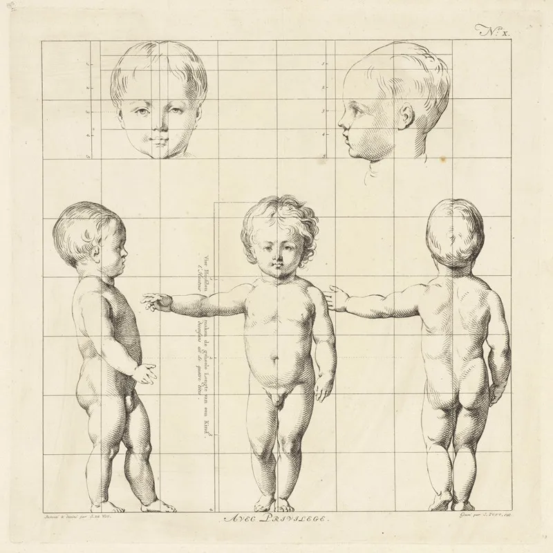 Proportional Study Of A Childs Body