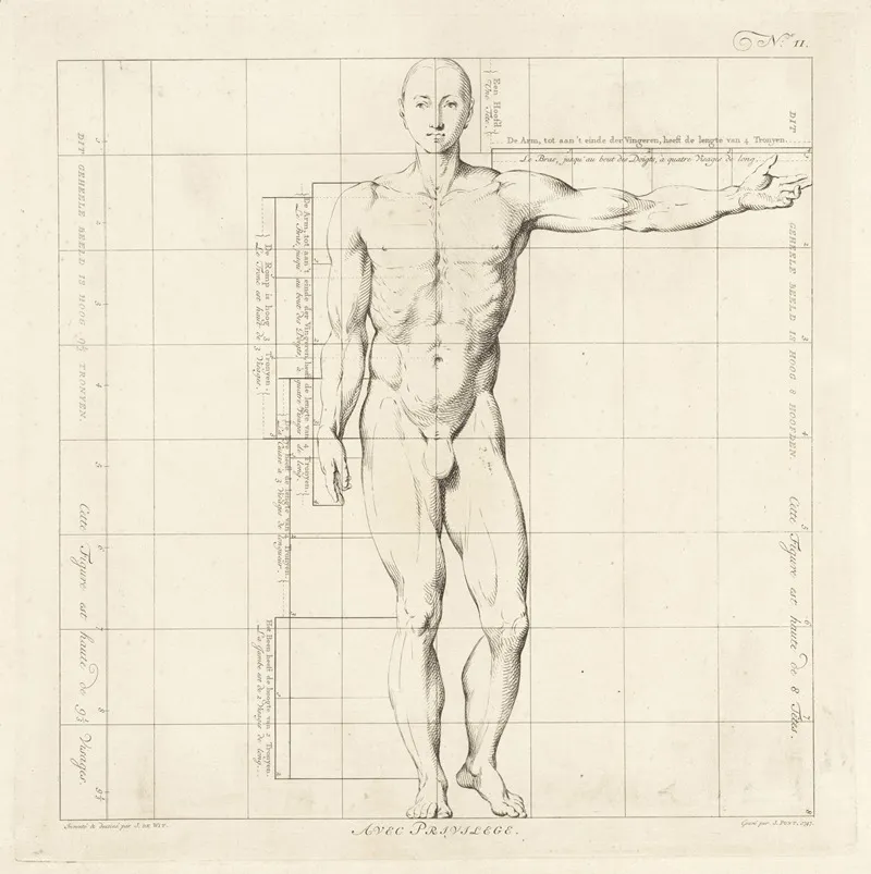 Proportional Study Of A Mans Body 2