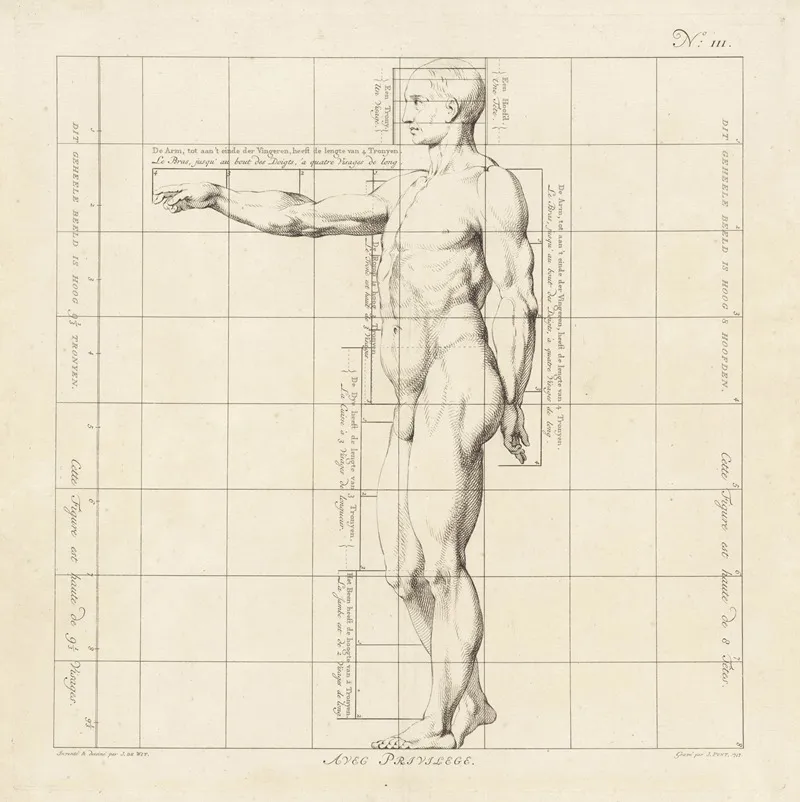 Proportional Study Of A Mans Body 3