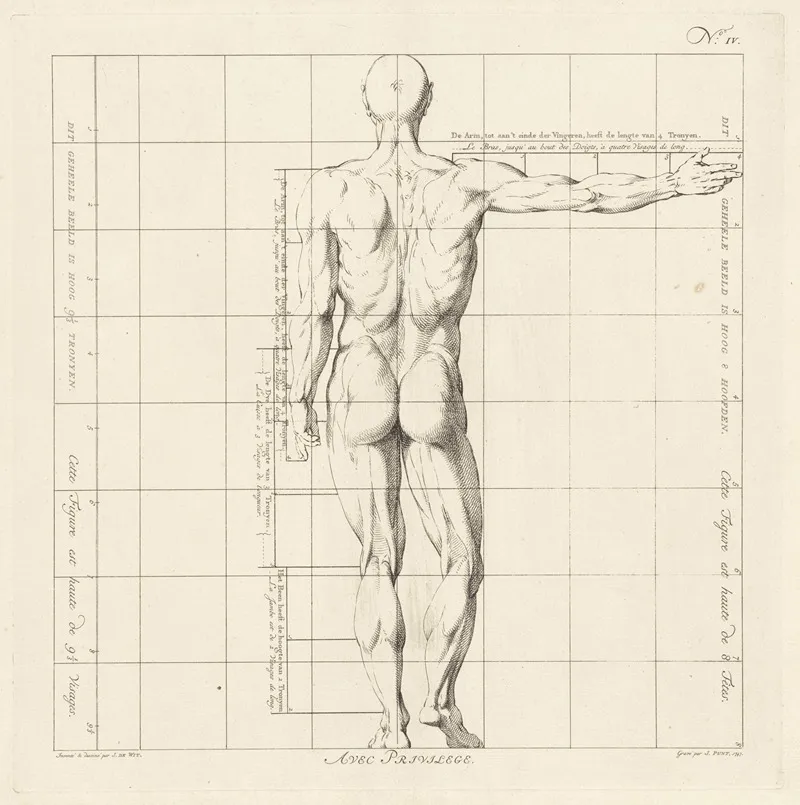 Proportional Study Of A Mans Body 4