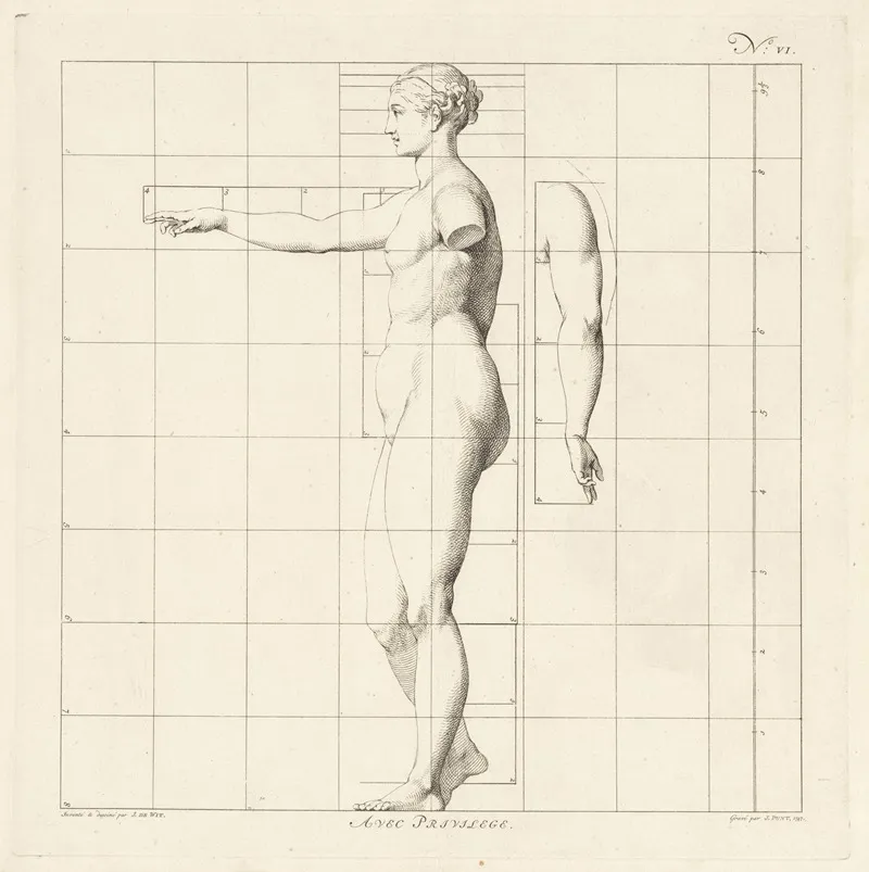 Proportional Study Of A Womans Body 2