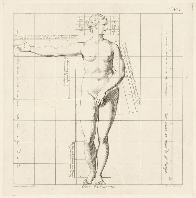 Proportional Study Of A Womans Body
