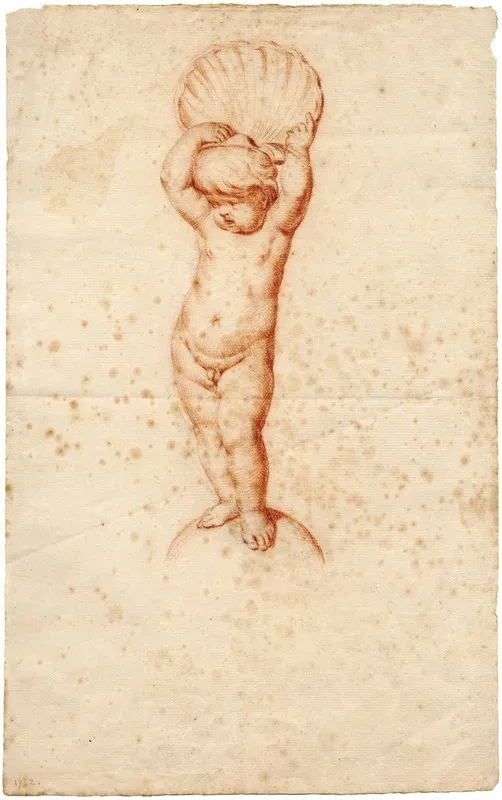 Putto Met Schelp Boven Zijn Hoofd