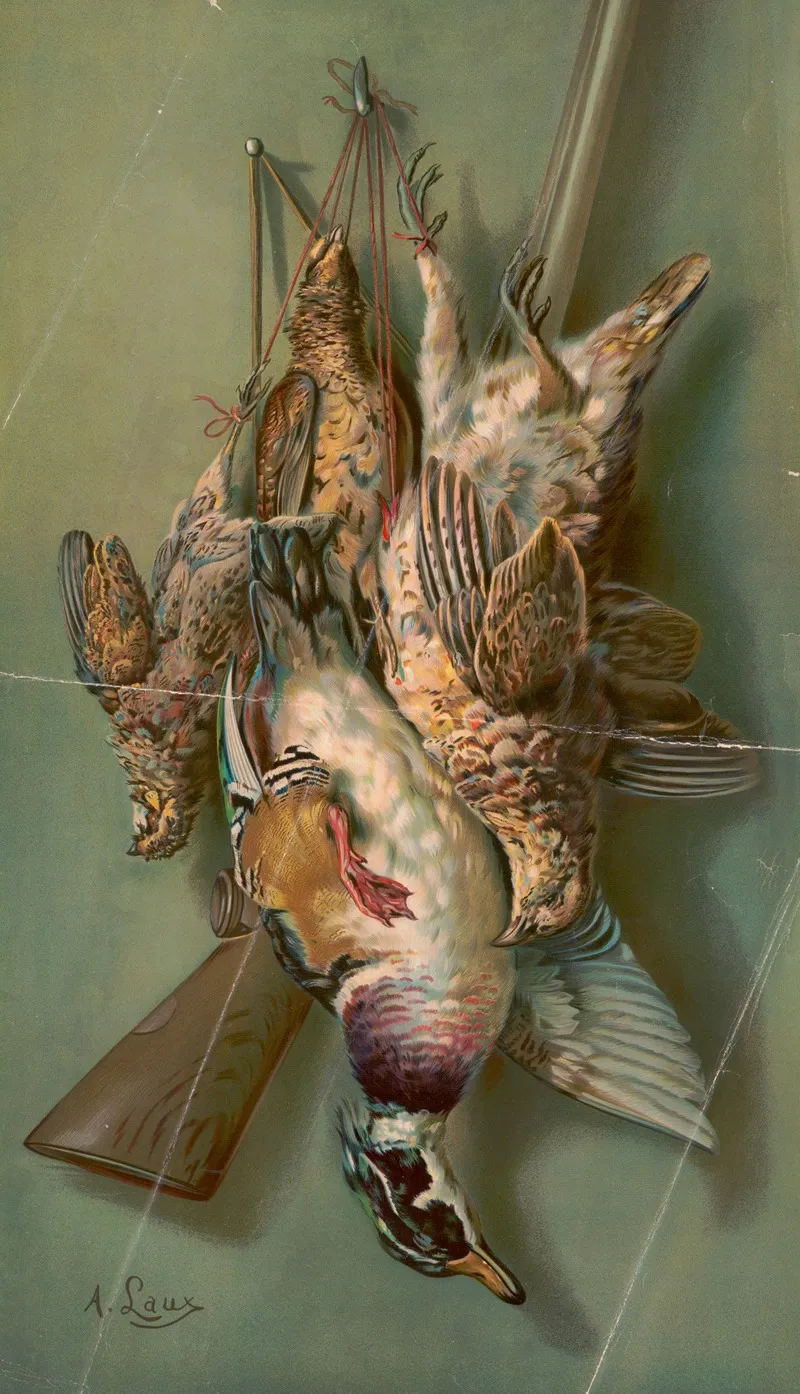 Quail Woodduck Partridge