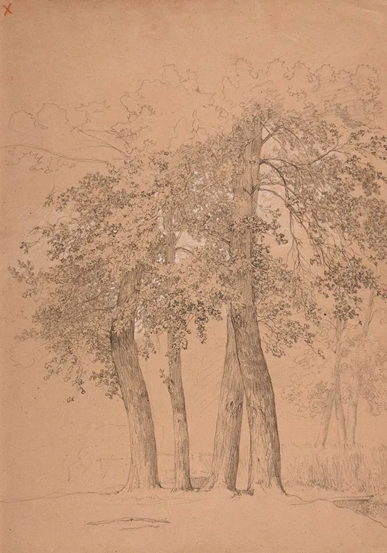 Quatre Arbres