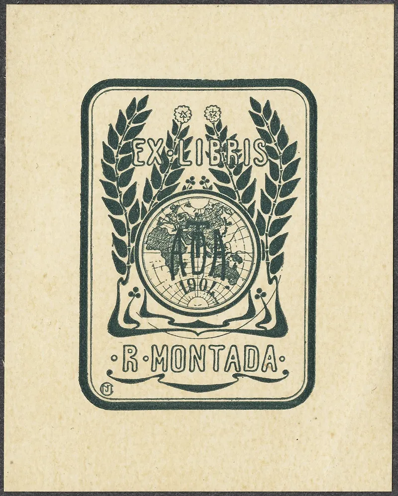 R Montana
