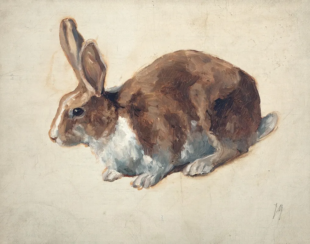 Rabbit 4