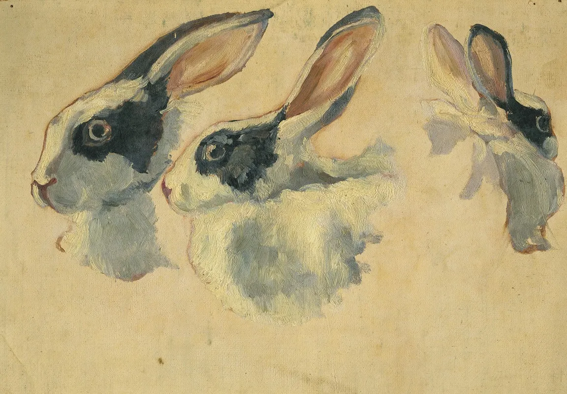 Rabbits 5