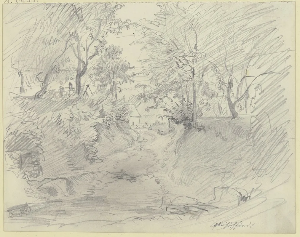 Ravine