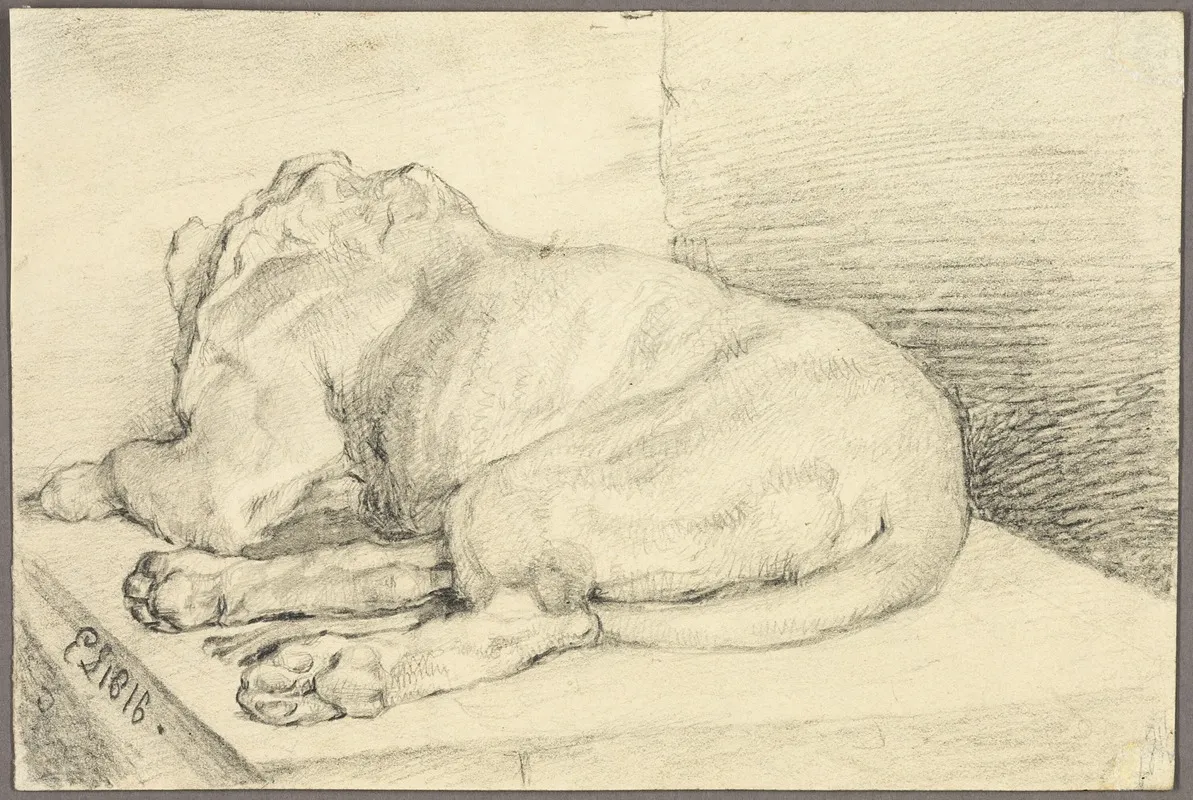 Reclining Lion From Back