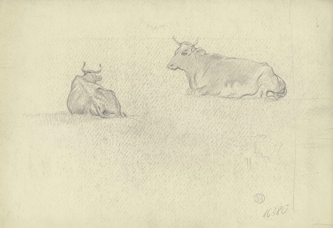 Resting Cows