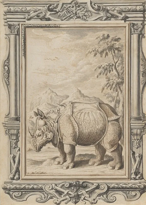 Rhinoceros In A Landscape Within An Ornamental Frame