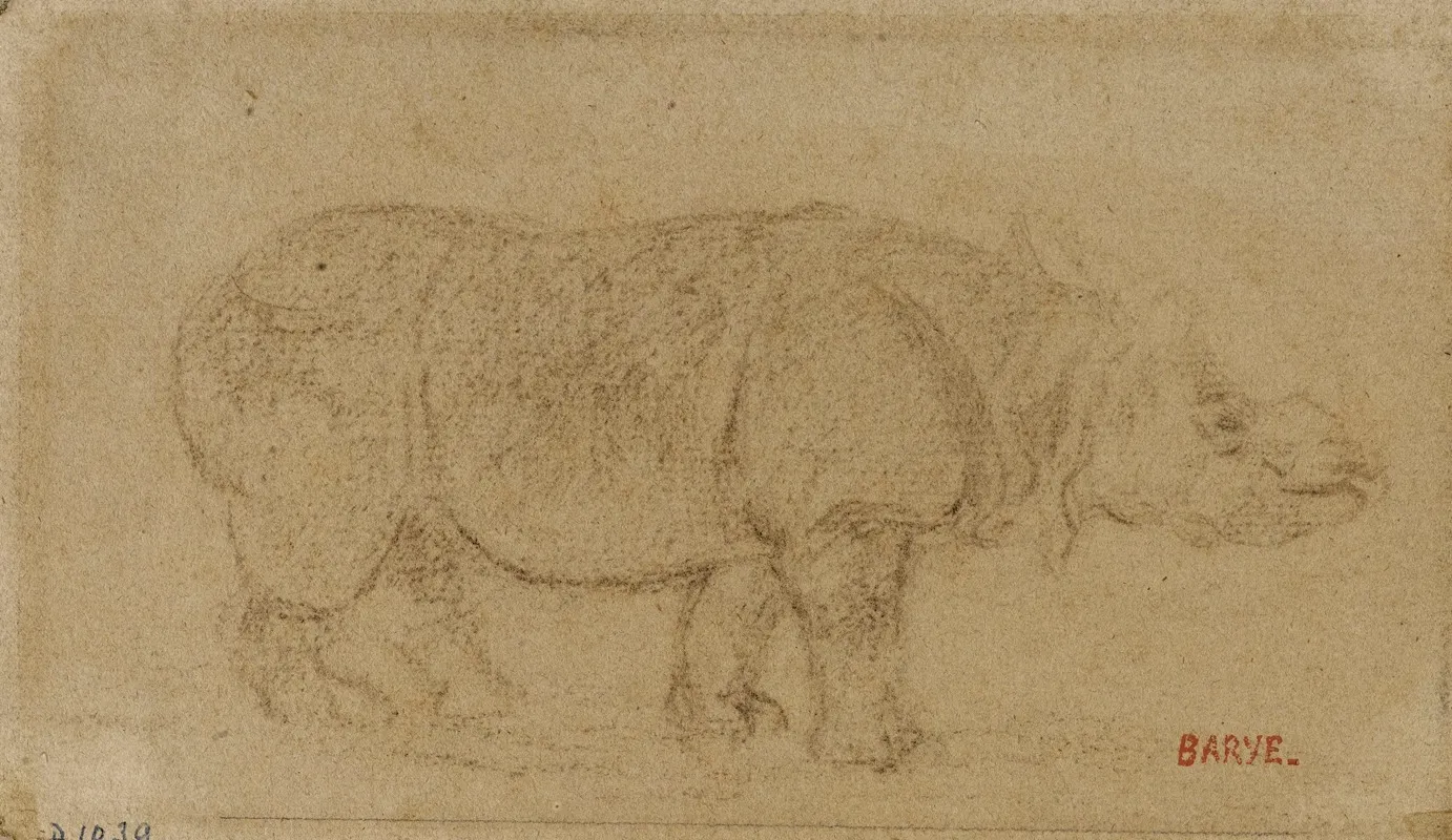 Rhinoceros