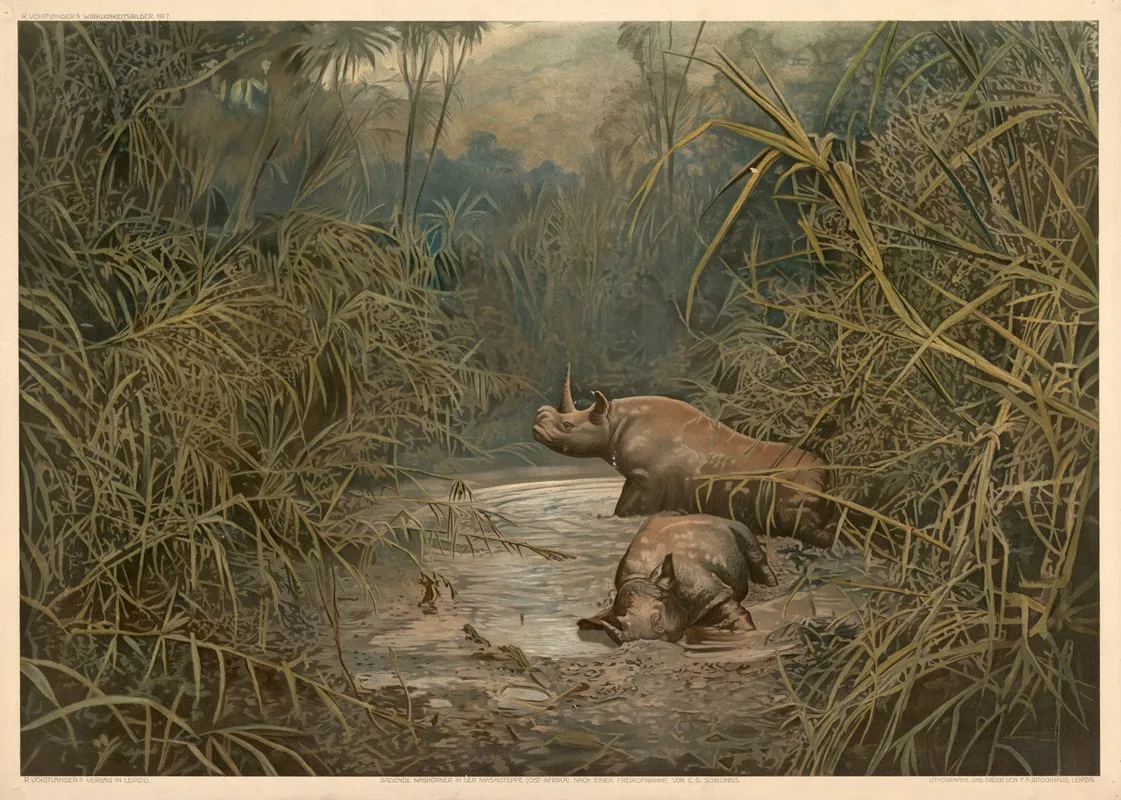 Rhinoceroses Bathing In The Masai Steppe East Africa by R. Voigtländer - Canvas Print