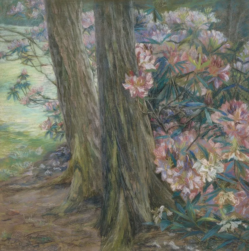 Rhododendronbusch In Einem Garten