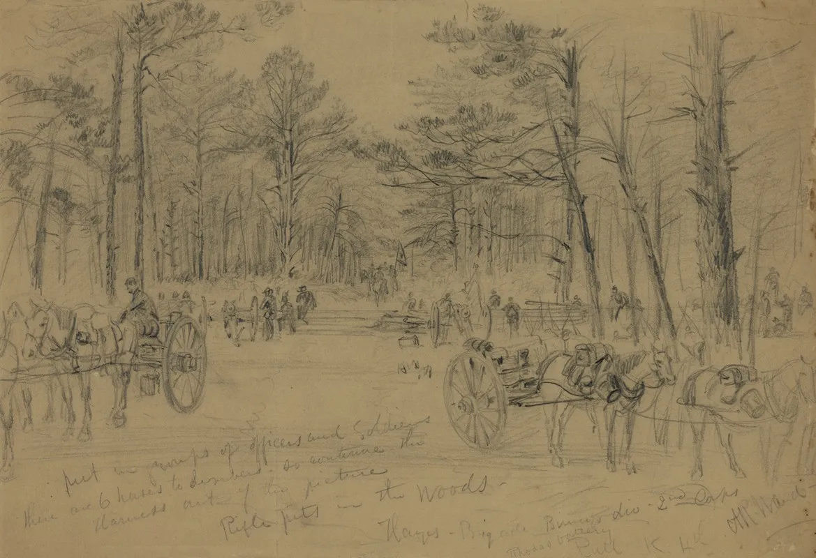 Rifle Pits In The Woods