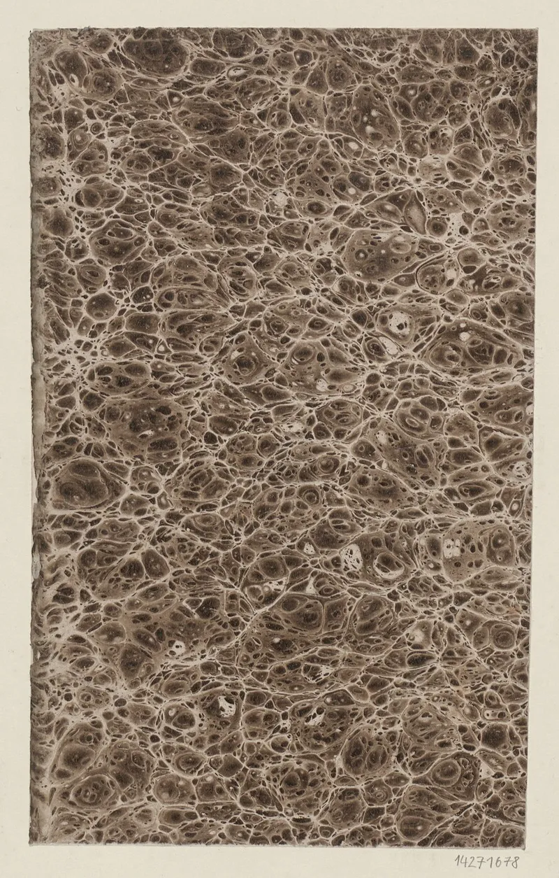 Ringadermarmorpapier 8