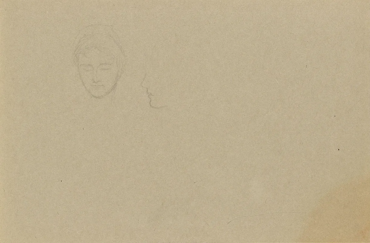 Riss Av Profil Riss Av Hode