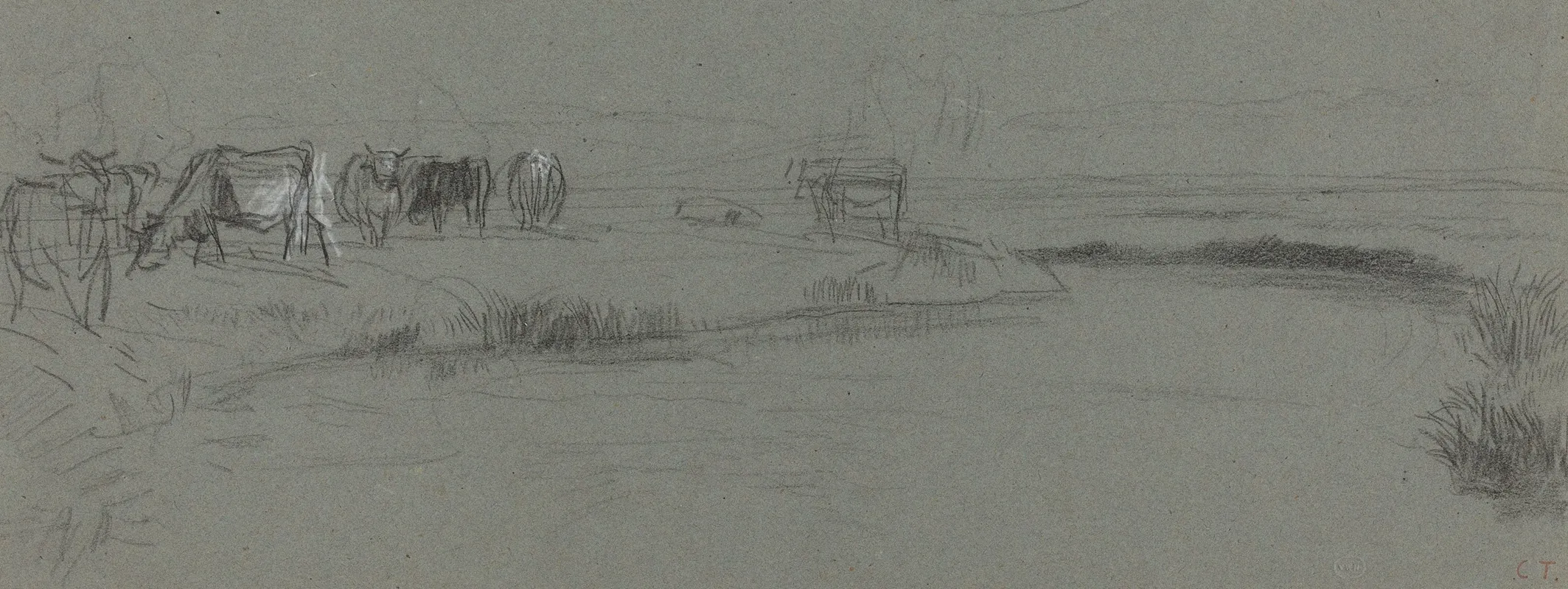 River Bank With Cattle