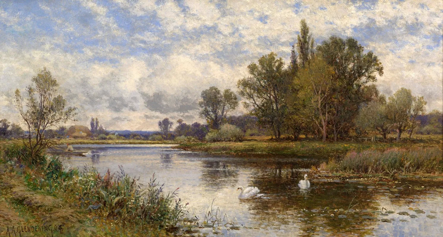 River Scene With Swans by Alfred Augustus Glendening - Canvas Print