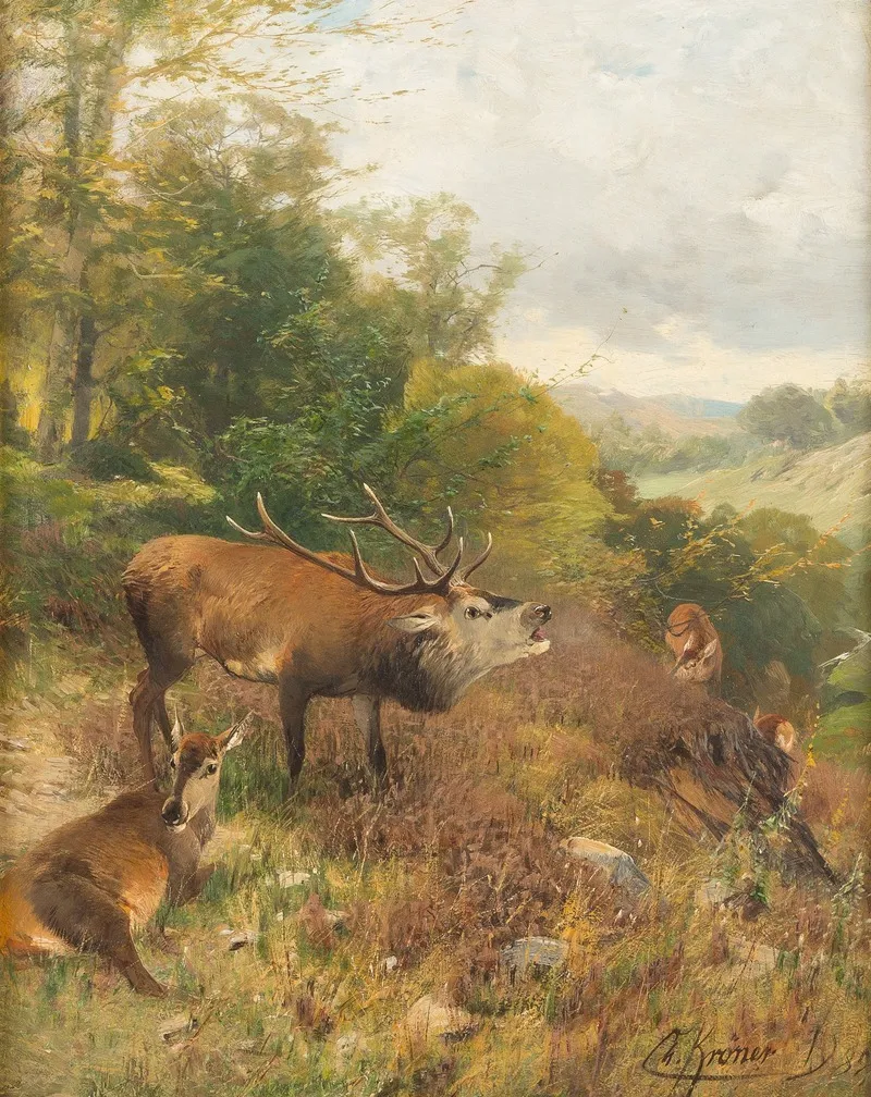 Roaring Stag 2 by Christian Kröner - Canvas Print