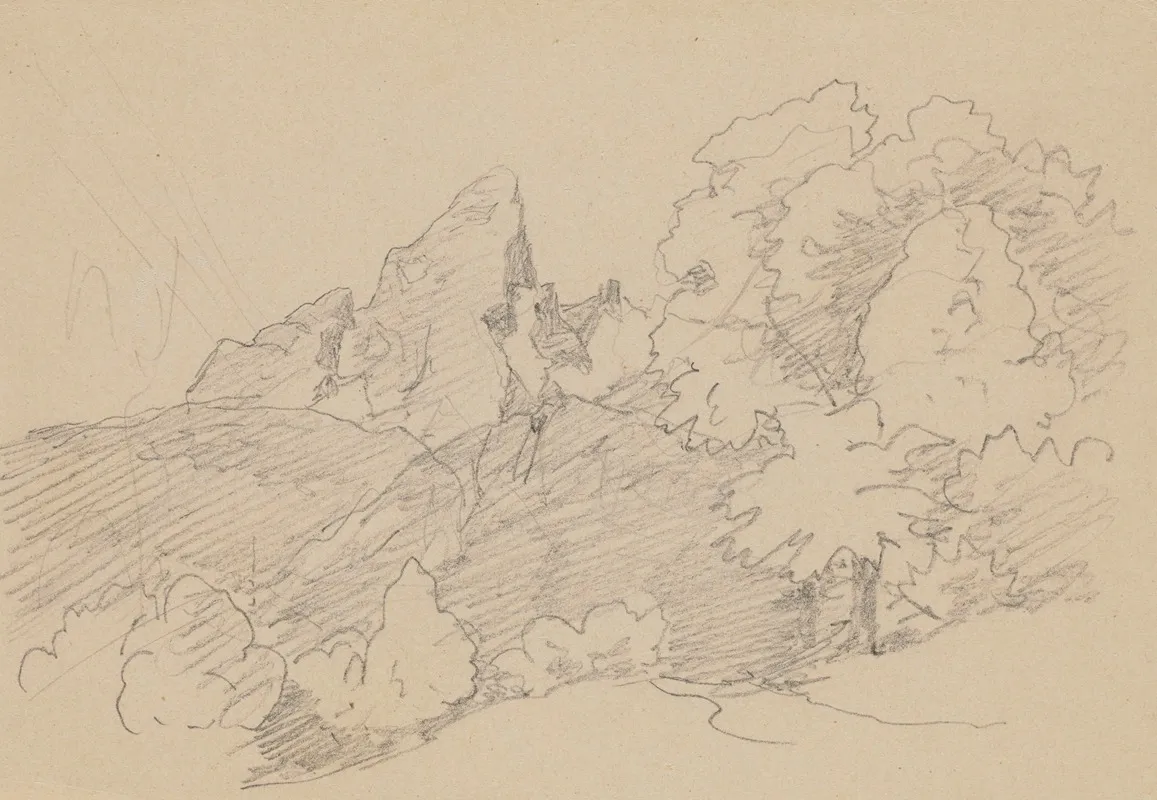 Rocks Among Trees