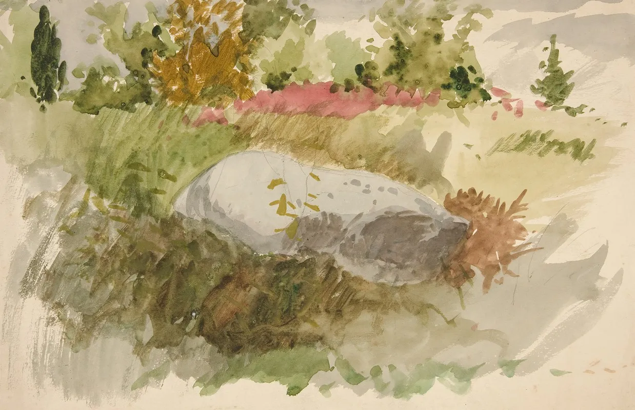 Rocks And Shrubs