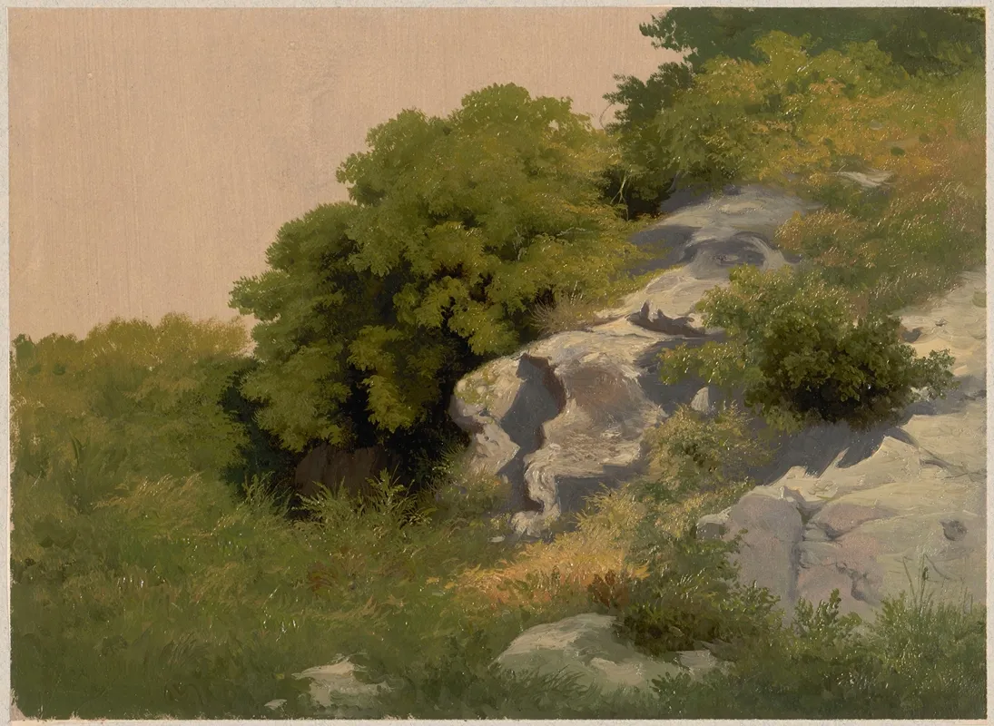 Rocks Overgrown With Lush Vegetation by Arthur Blaschnik - Canvas Print