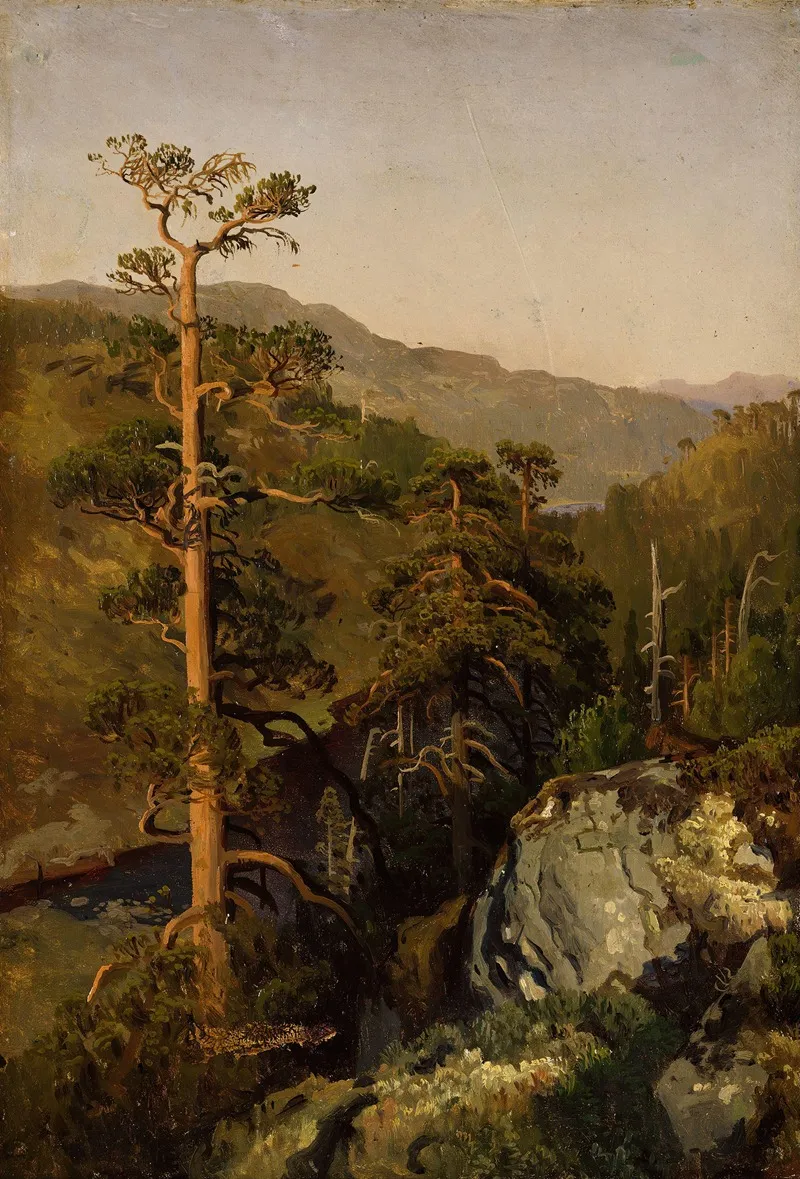 Rocky Landscape With Pinetrees