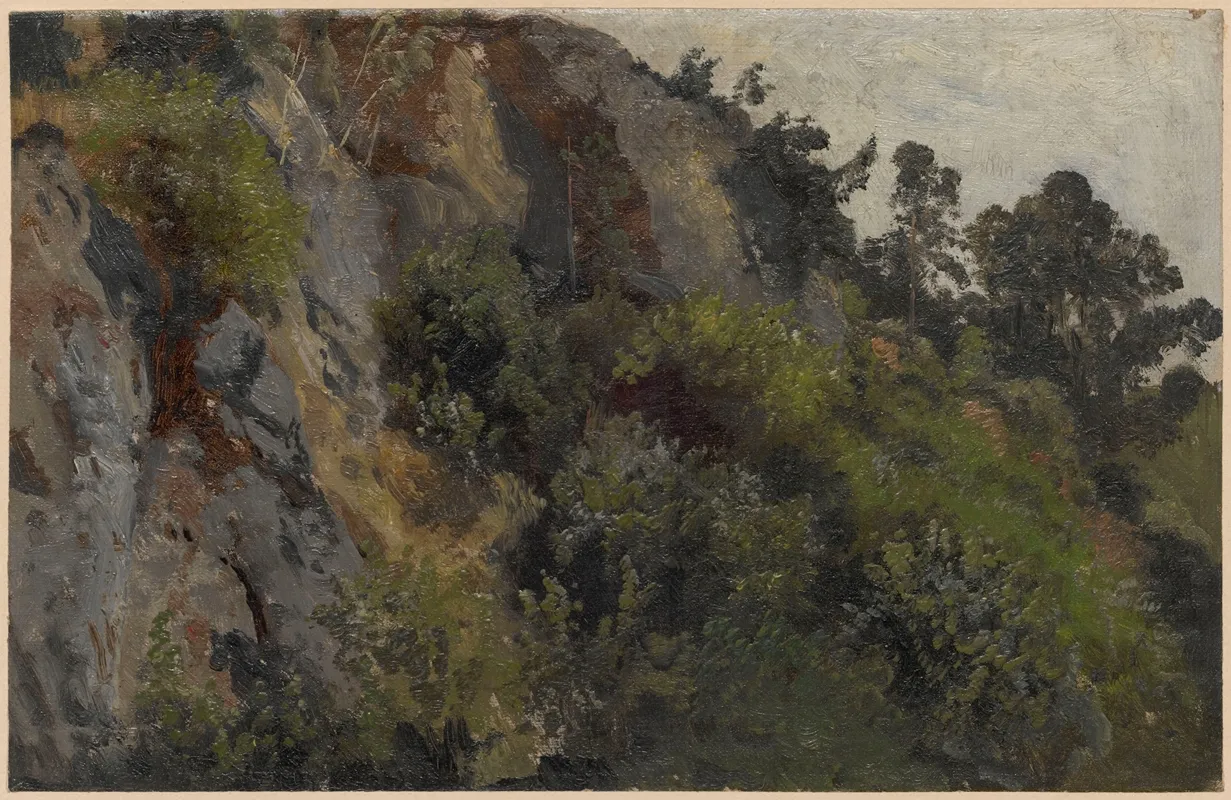 Rocky Slope Overgrown With Plants by Adolf Dressler - Canvas Print