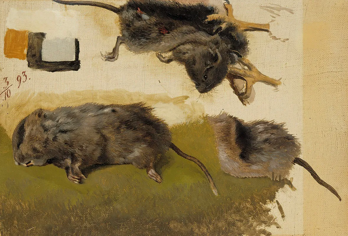 Rodents by Ferdinand von Wright - Canvas Print