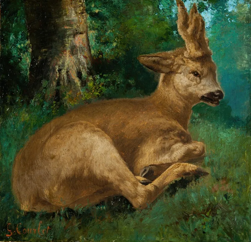 Roebuck